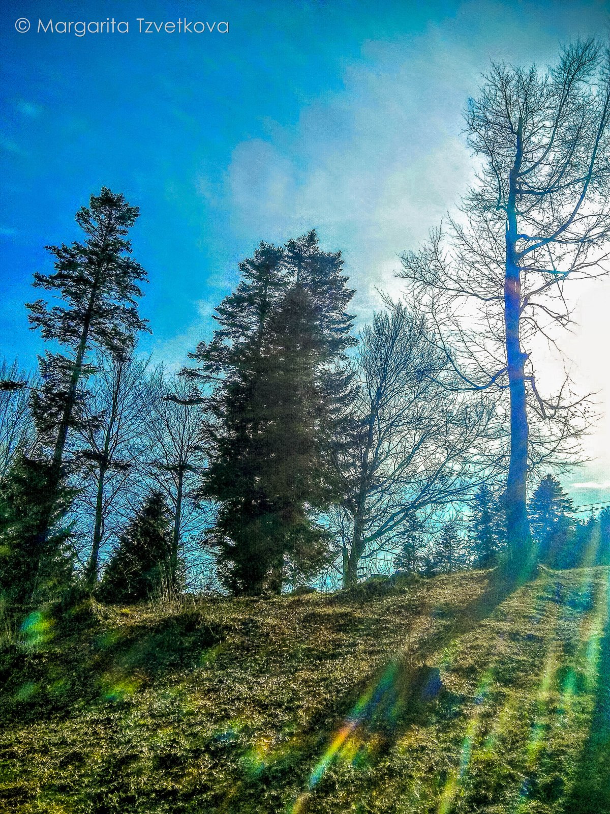 IMG_20160306_151232~2-1