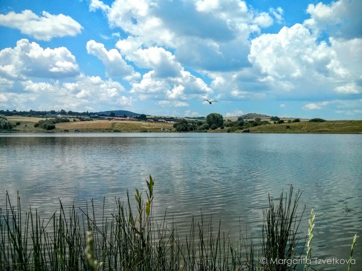 IMG_20160703_141529~2-2