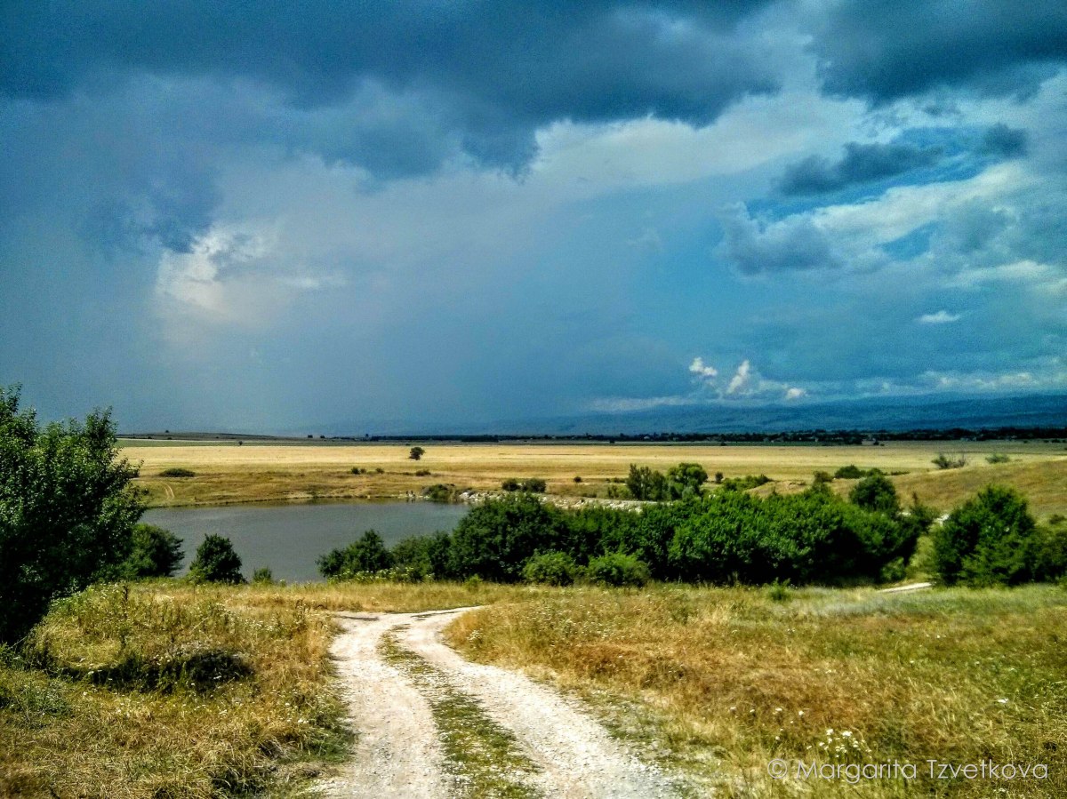 IMG_20160703_145949~3-2