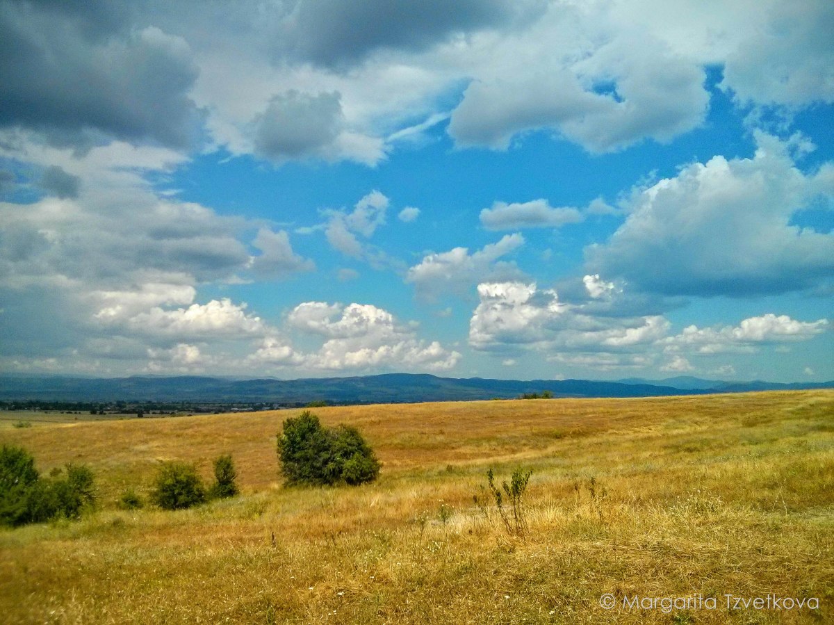 IMG_20160703_150014~2-2