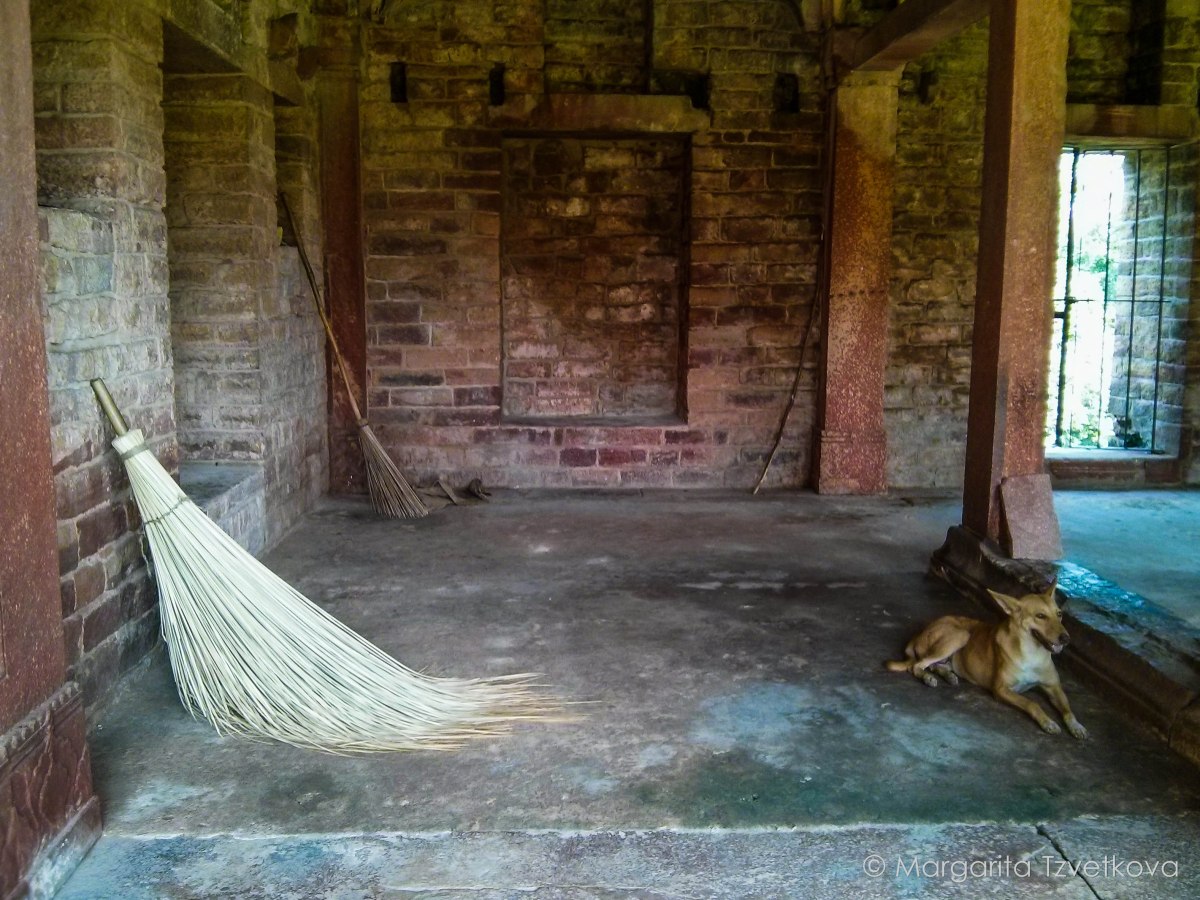 IMG_20140914_104750-2