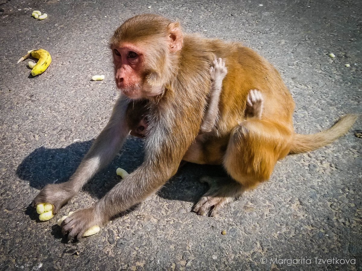 IMG_20140916_101026-1