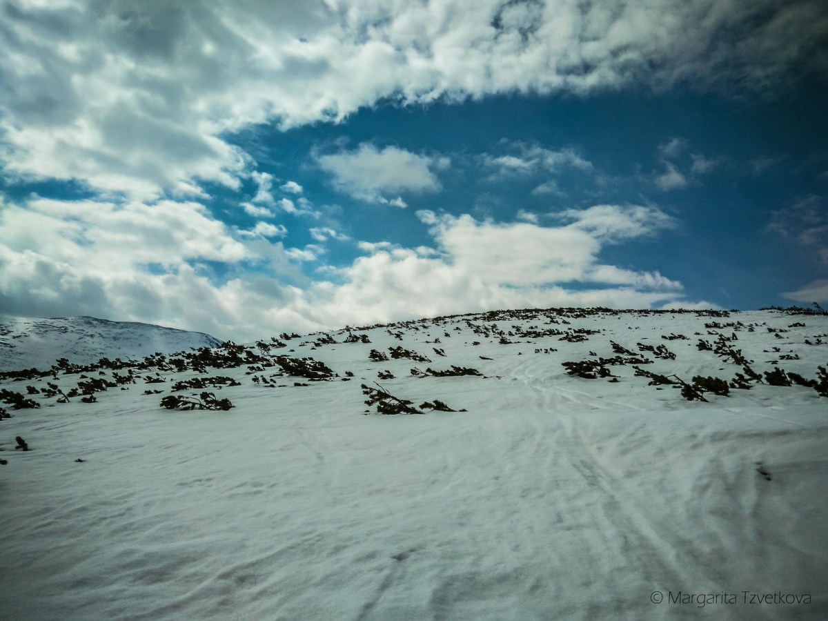 P_20170415_102824_HDR