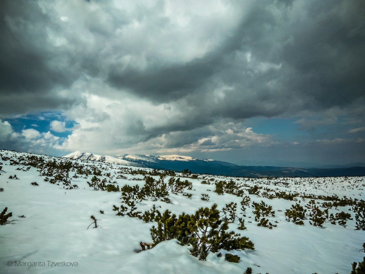 P_20170415_114558_HDR