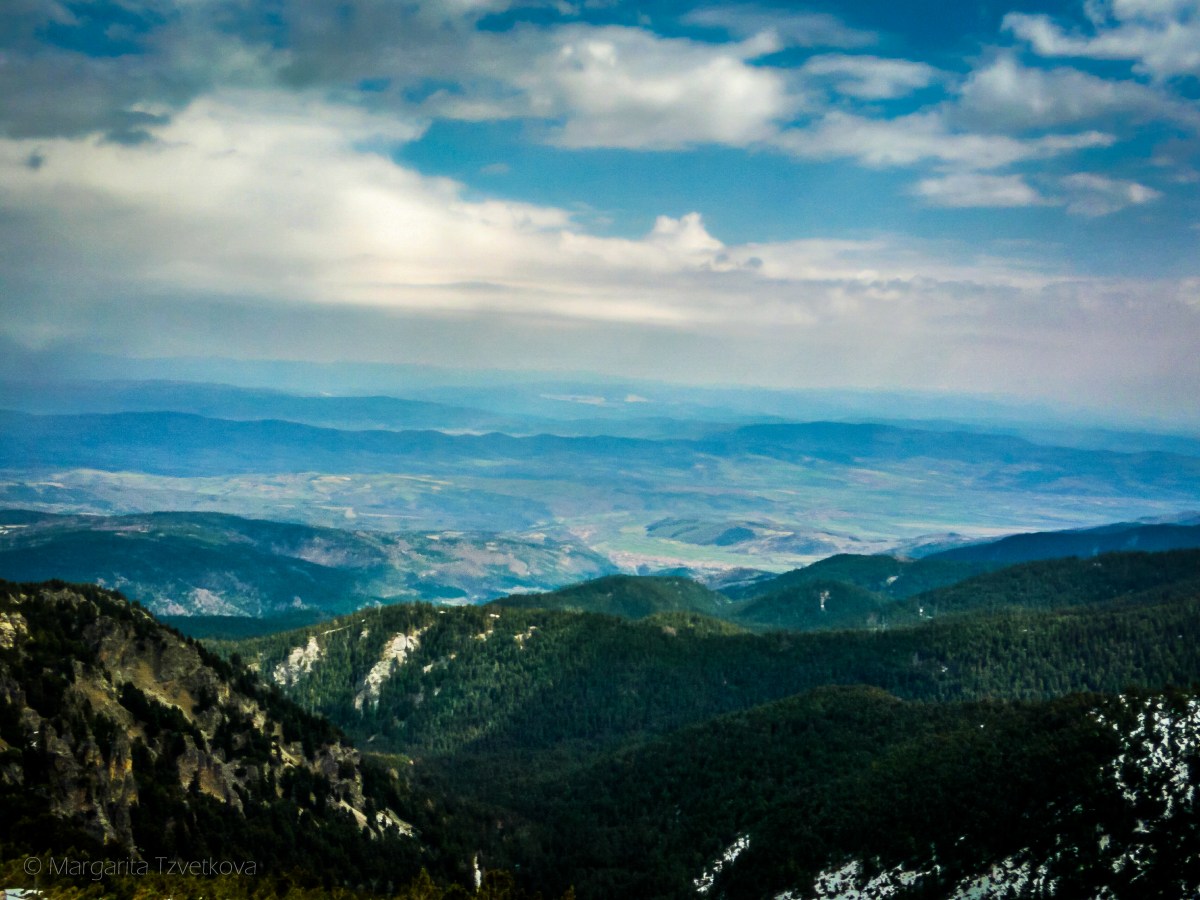 P_20170415_115558_HDR_1