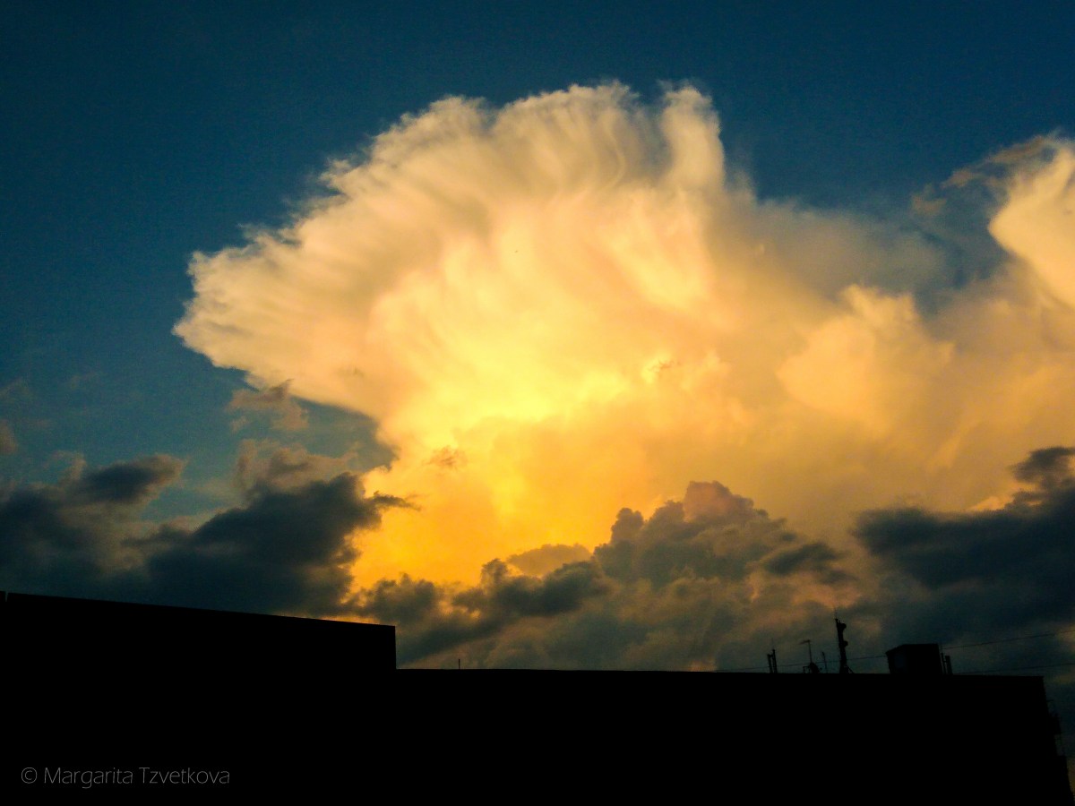 P_20170626_205517_1-2