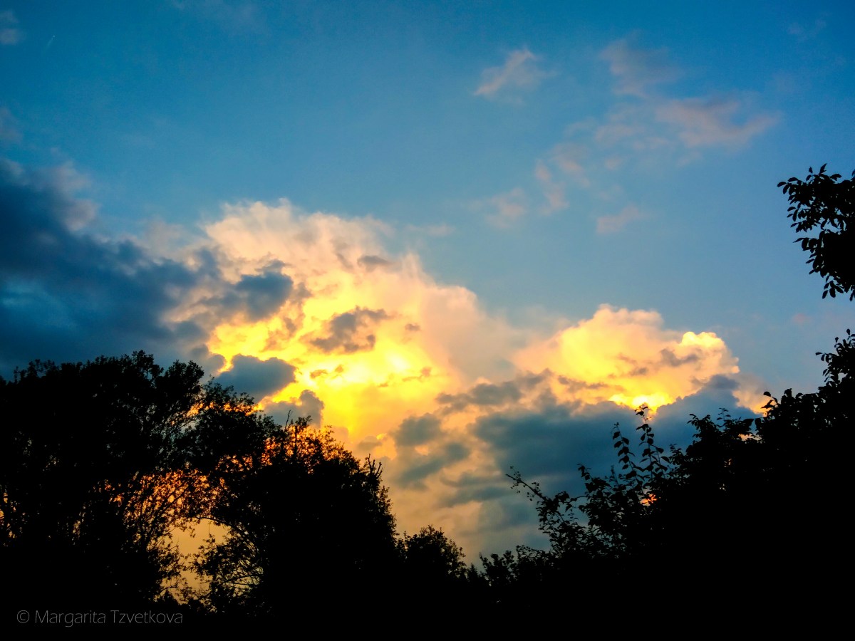 P_20170626_210200_1-3