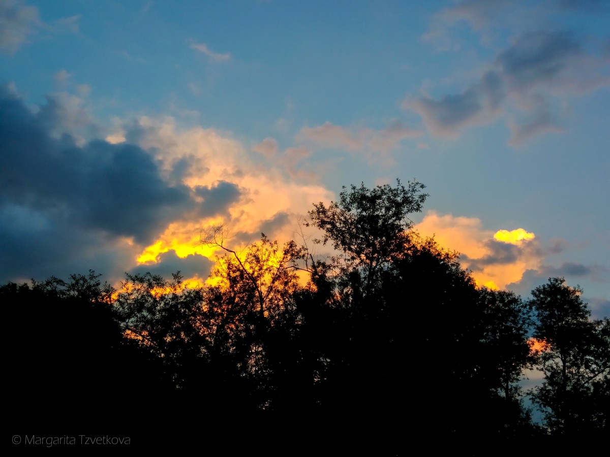 P_20170626_210329_1-4