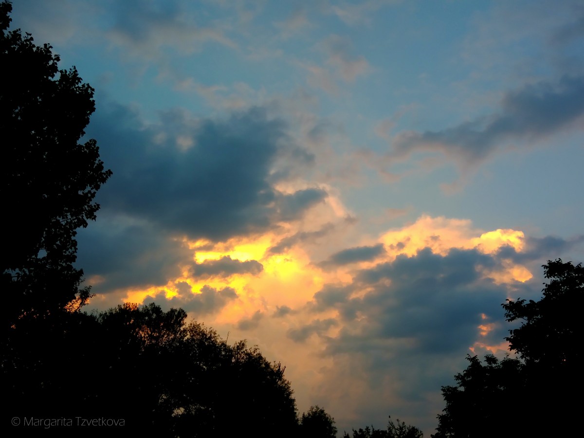 P_20170626_210455_1-5